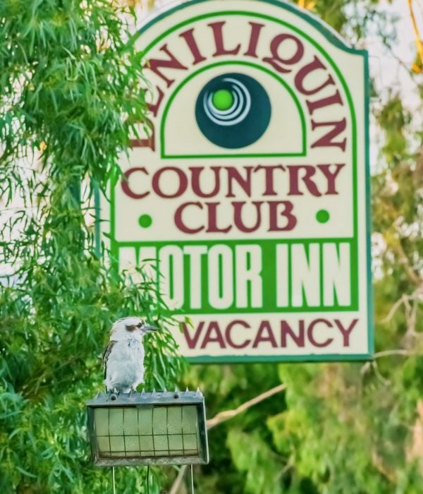 Kooka with motel sign - Deniliquin Accommodation - Deniliquin Country Club Motor Inn